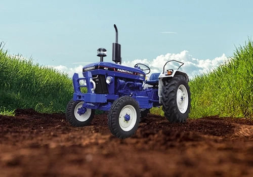 Farmtrac-Champion-42-2WD1734345878_piXeGbu_-.webp