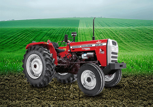 Massey-Ferguson-245-DI1734589751_NrznUyV5g.png