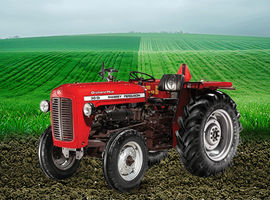 Tafe 30 DI Orchard Plus